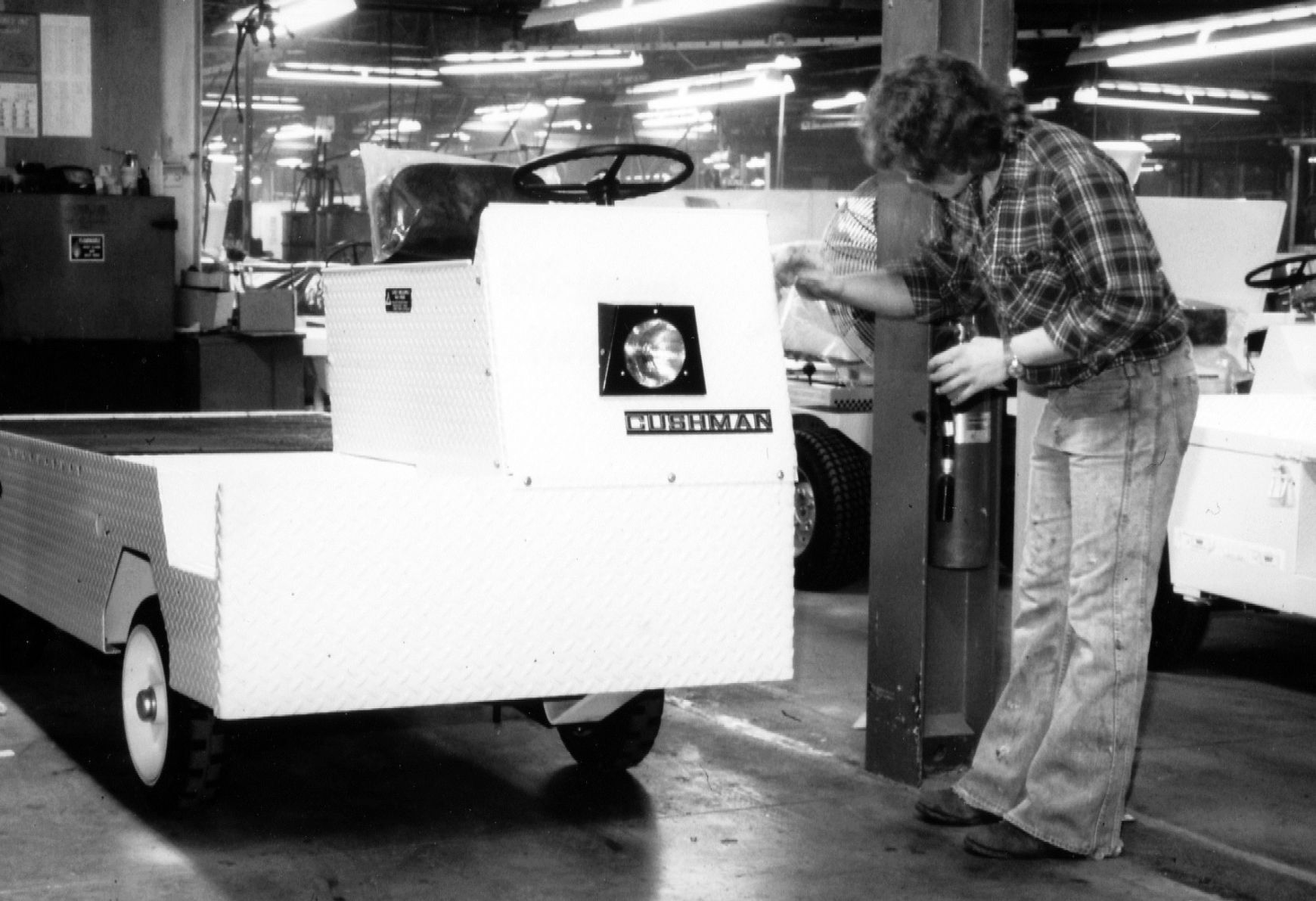 Cushman 1981